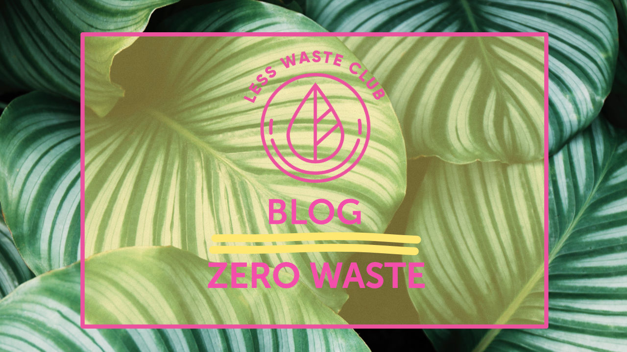 Less Waste Blog - Zero Waste