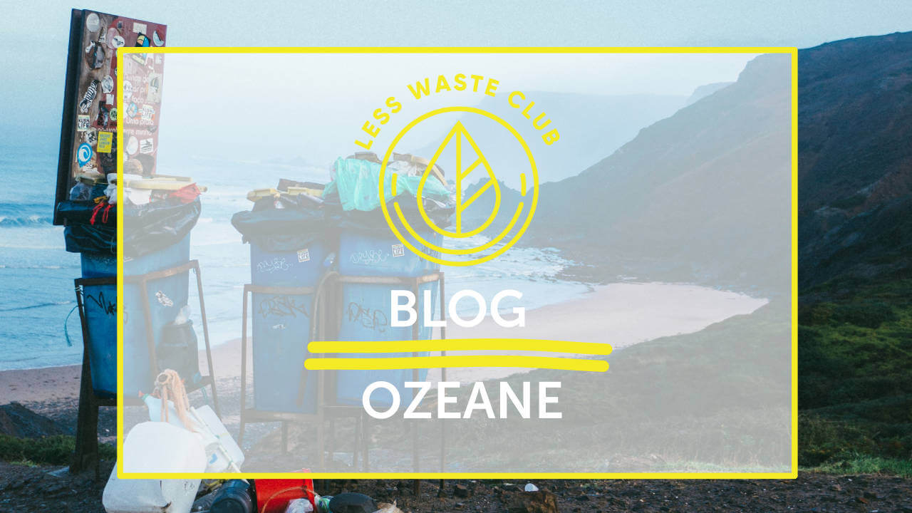 Less Waste Blog Ozeane