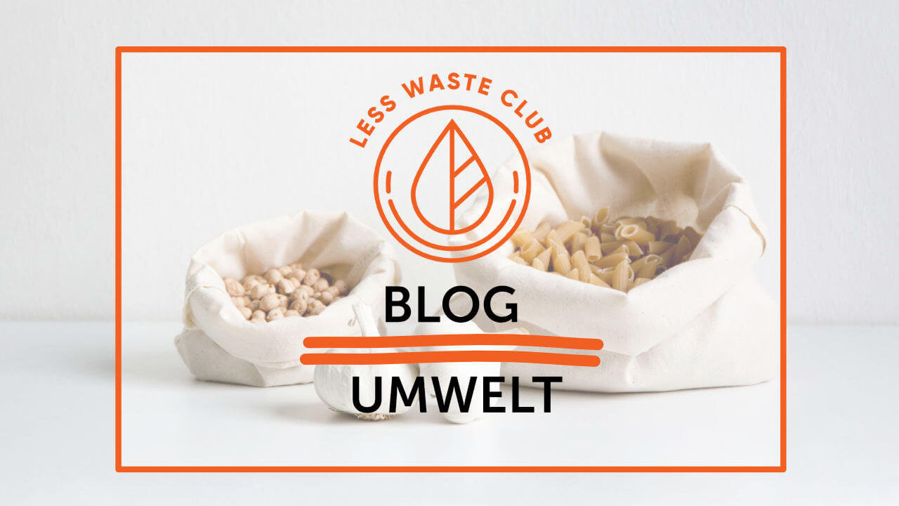 Less Waste Blog Umweltverschmutzung