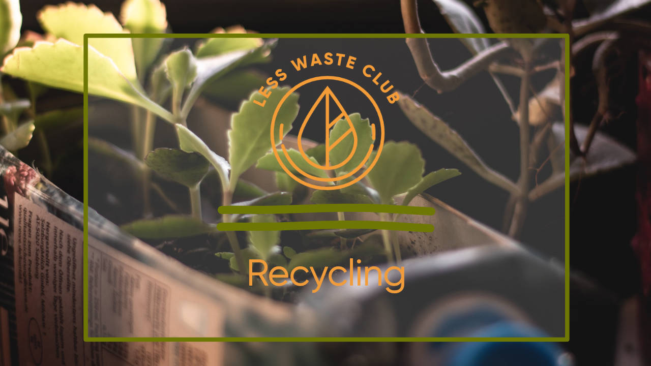 Less Waste Club Magazin Recycling