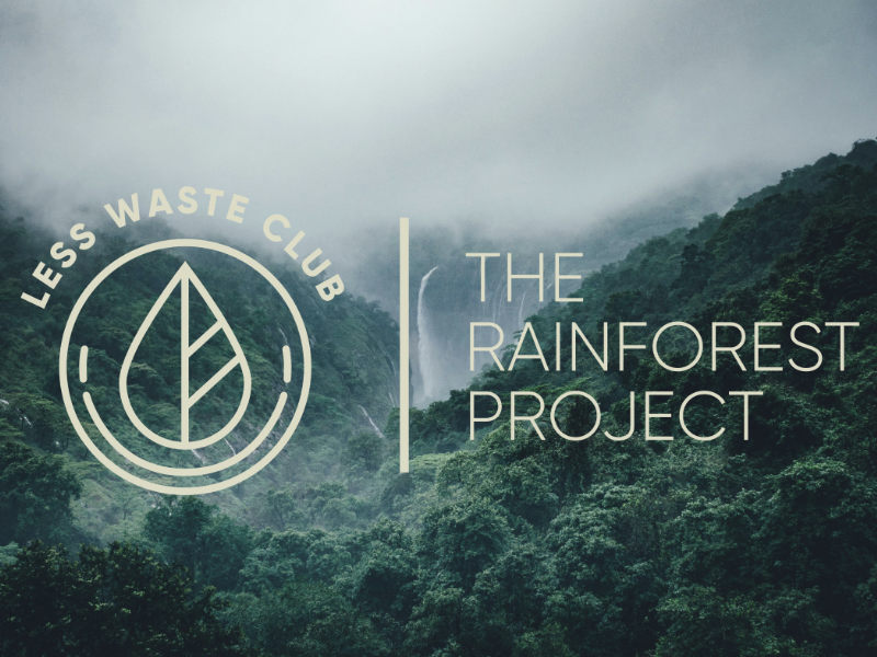 The Rainforest Projekt